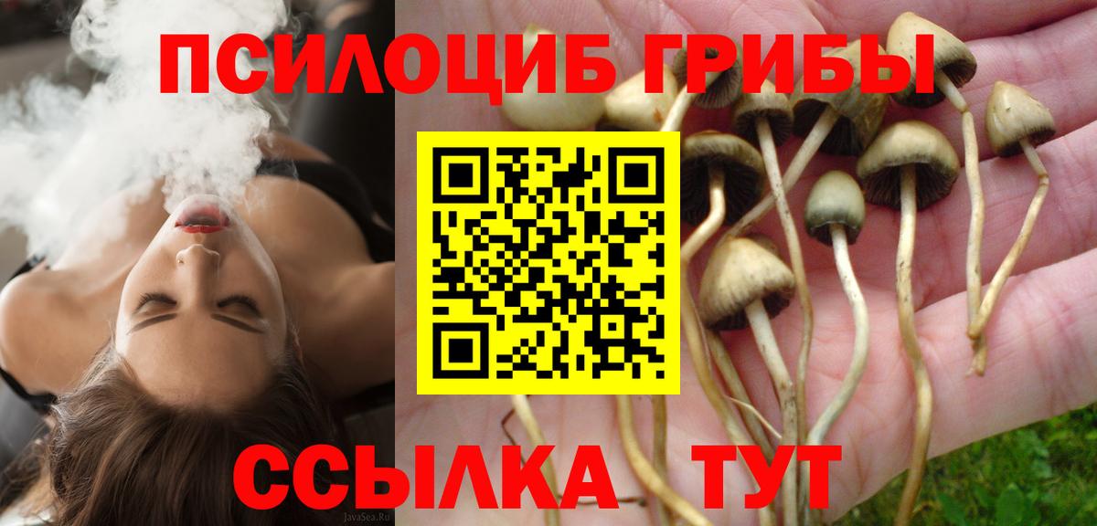 Галлюциногенные грибы Psilocybe  Вход с VPN  Бирск  Галлюциногенные грибы ЛСД 